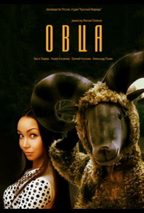 Постер к Овца (2016)