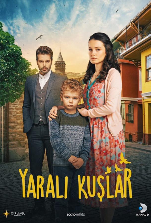 Постер к Раненые птицы (1 сезон)