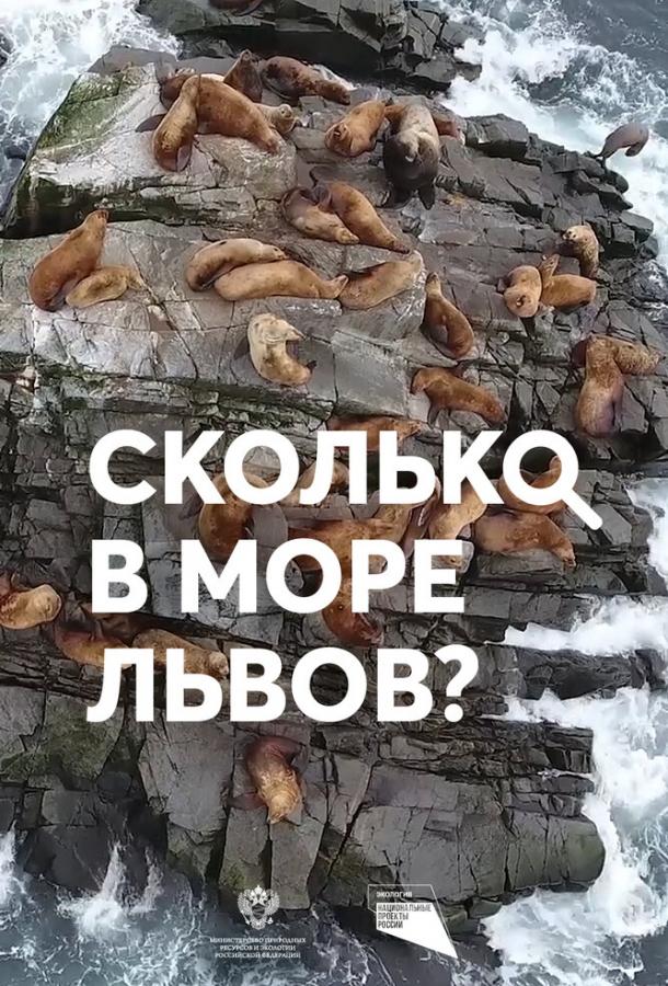 Постер к Сколько в море львов? (2018)