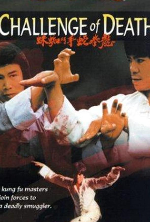 Постер к Вызов смерти (1979)