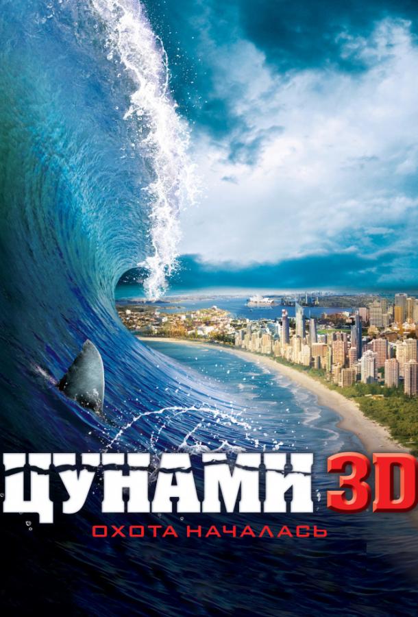 Постер к Цунами 3D (2011)