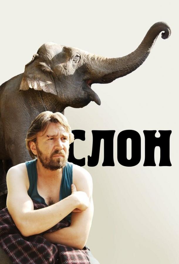 Постер к Слон (2010)