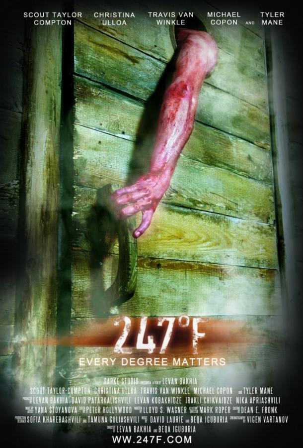 Постер к 247 градусов по Фаренгейту (2011)
