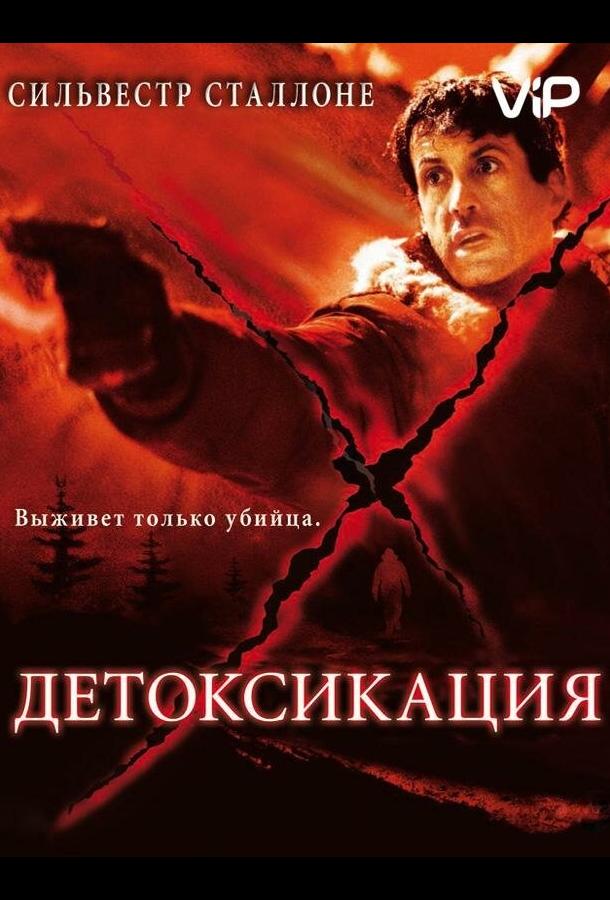 Постер к Детоксикация (2001)
