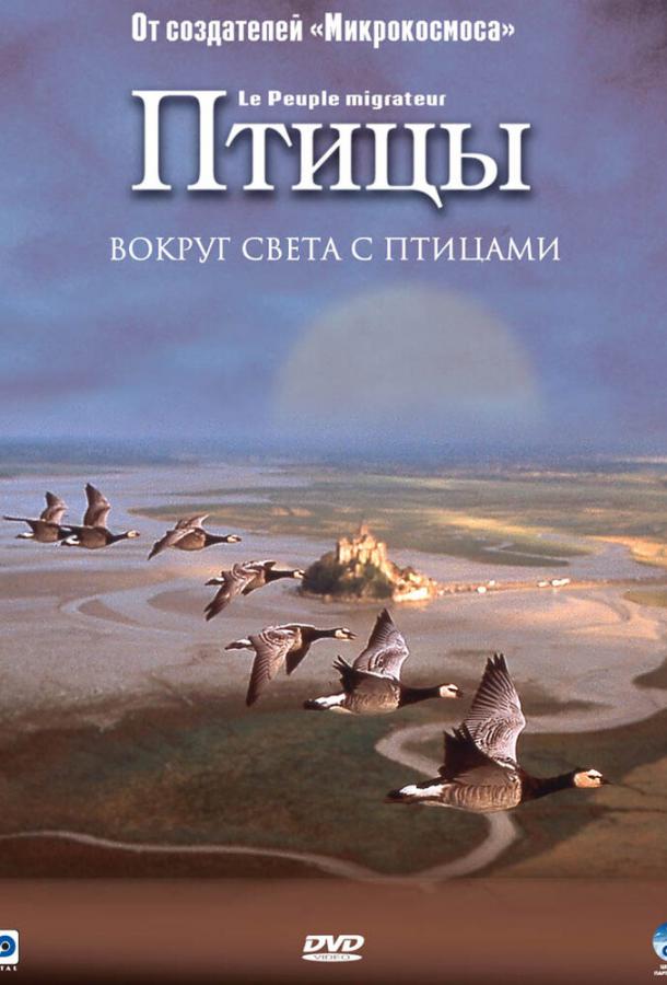 Постер к Птицы (2001)