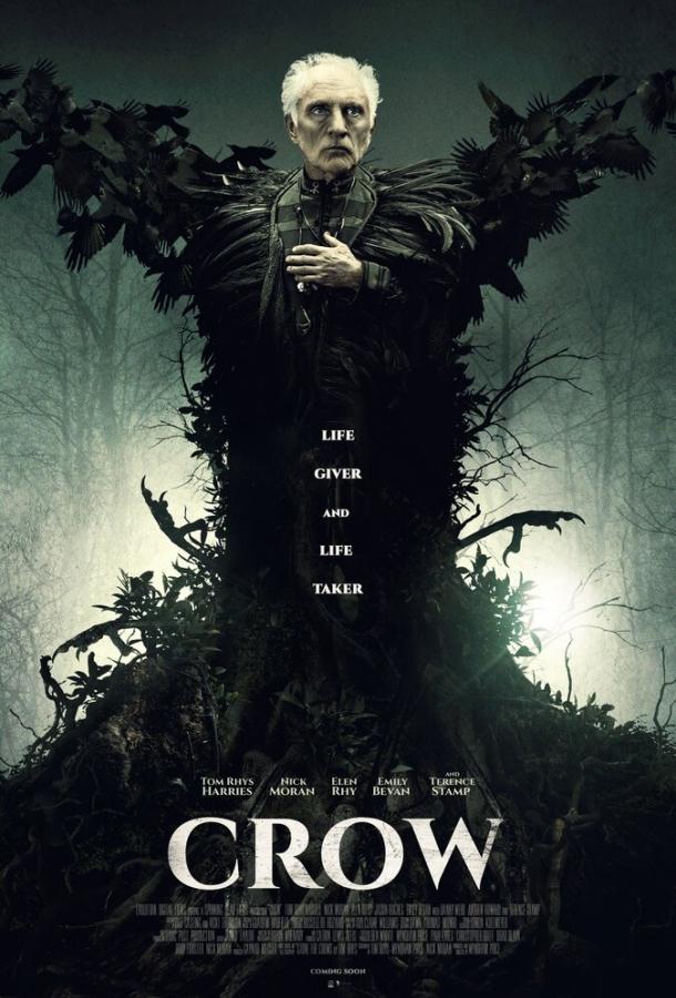 Постер к Ворон (2016)