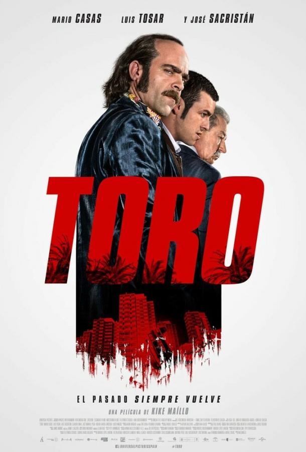 Постер к Торо (2016)