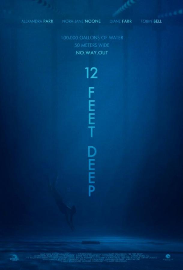 Постер к 12 футов глубины (2017)