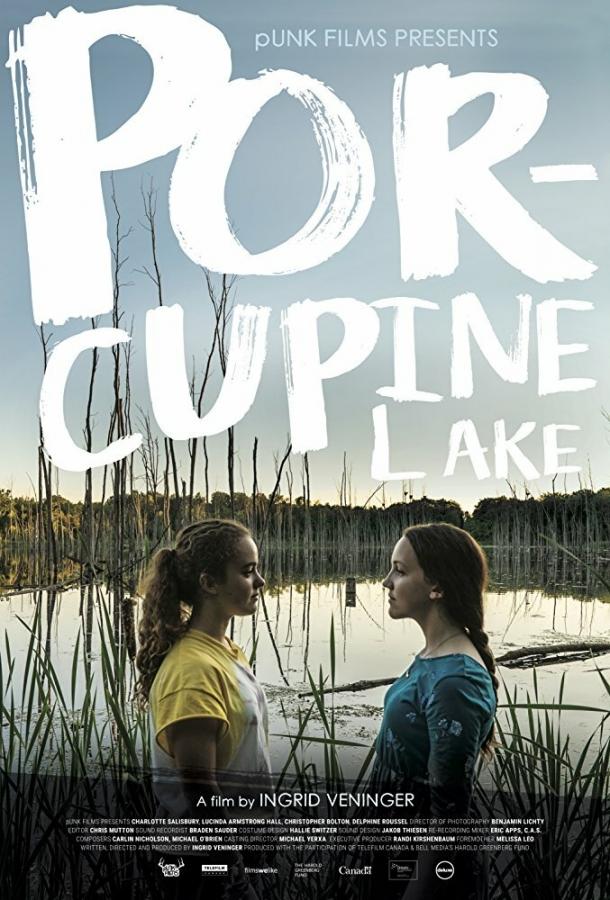 Постер к Озеро Поркьюпайн (2017)