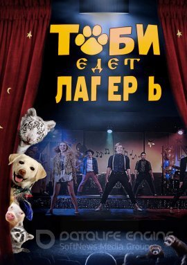Постер к Тоби едет в лагерь (2016)
